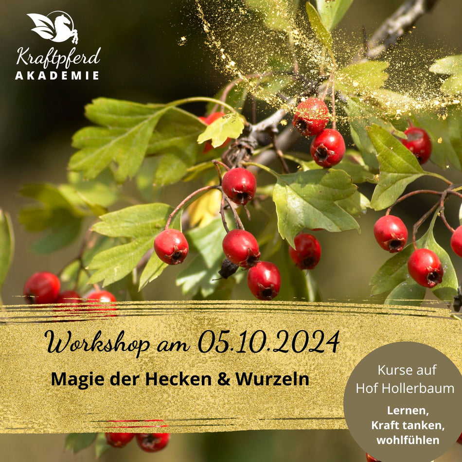 LIVE am 05. Oktober 2024 - Kräuter-Workshop  "Magie der Hecken & Wurzeln" für Pferde