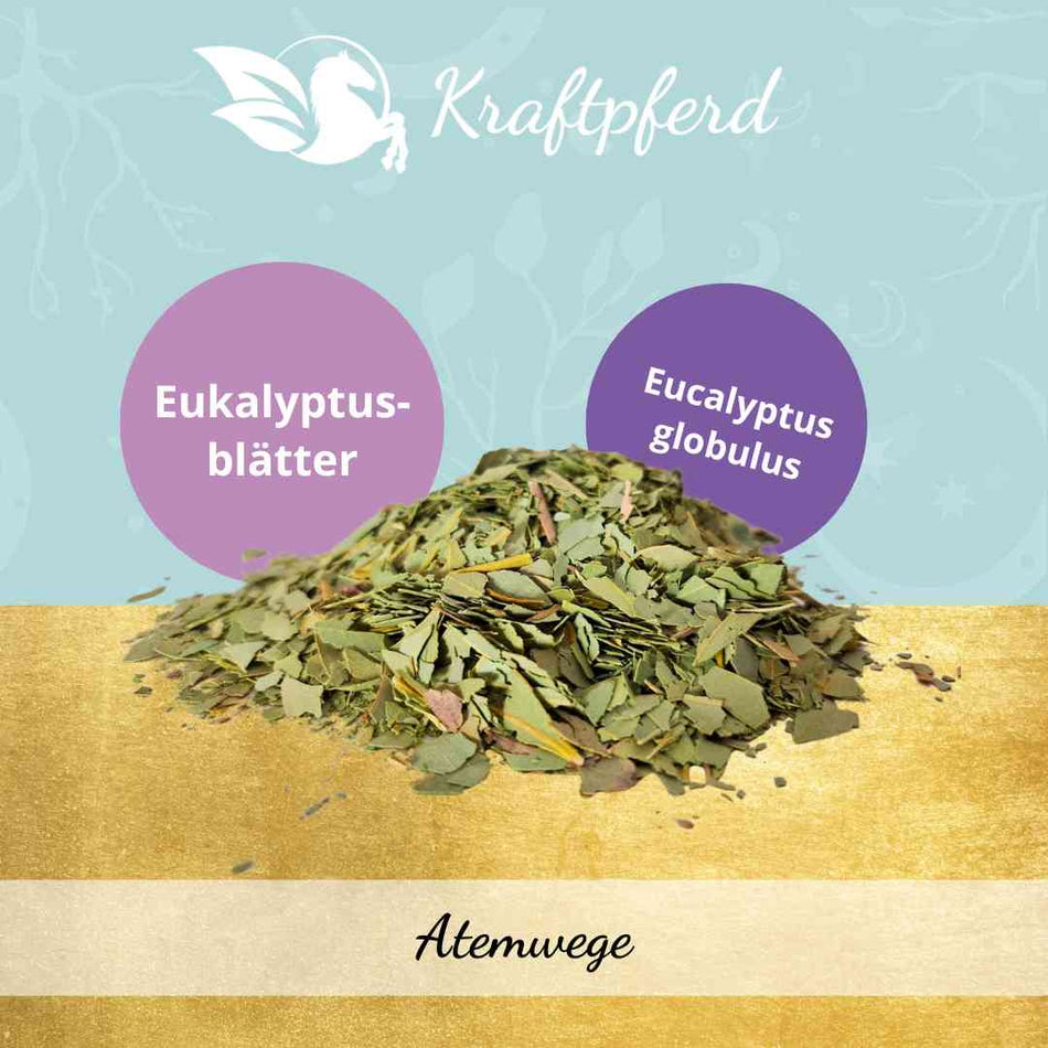 Eukalyptus, geschnitten - 200 g