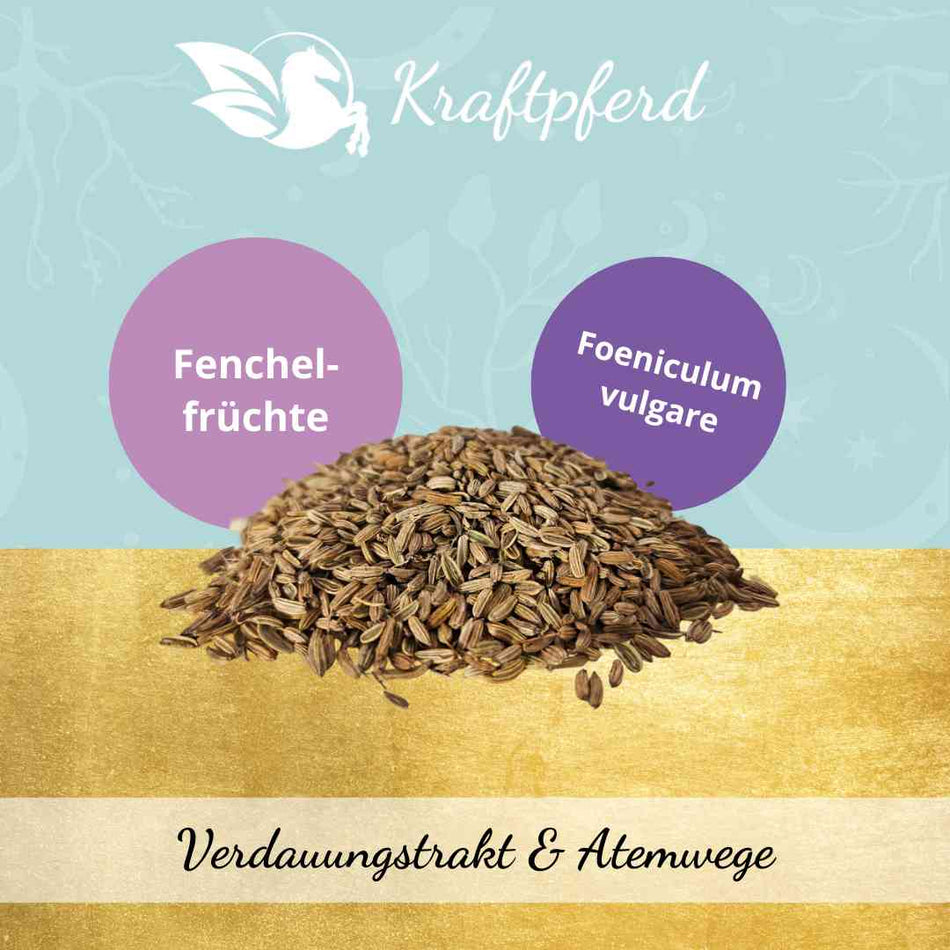 Fenchel, bitter, braun - 500 g