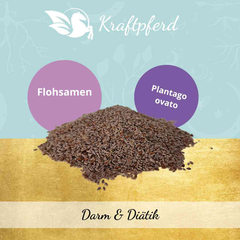 Flohsamen, indisch, ganz - 500 g