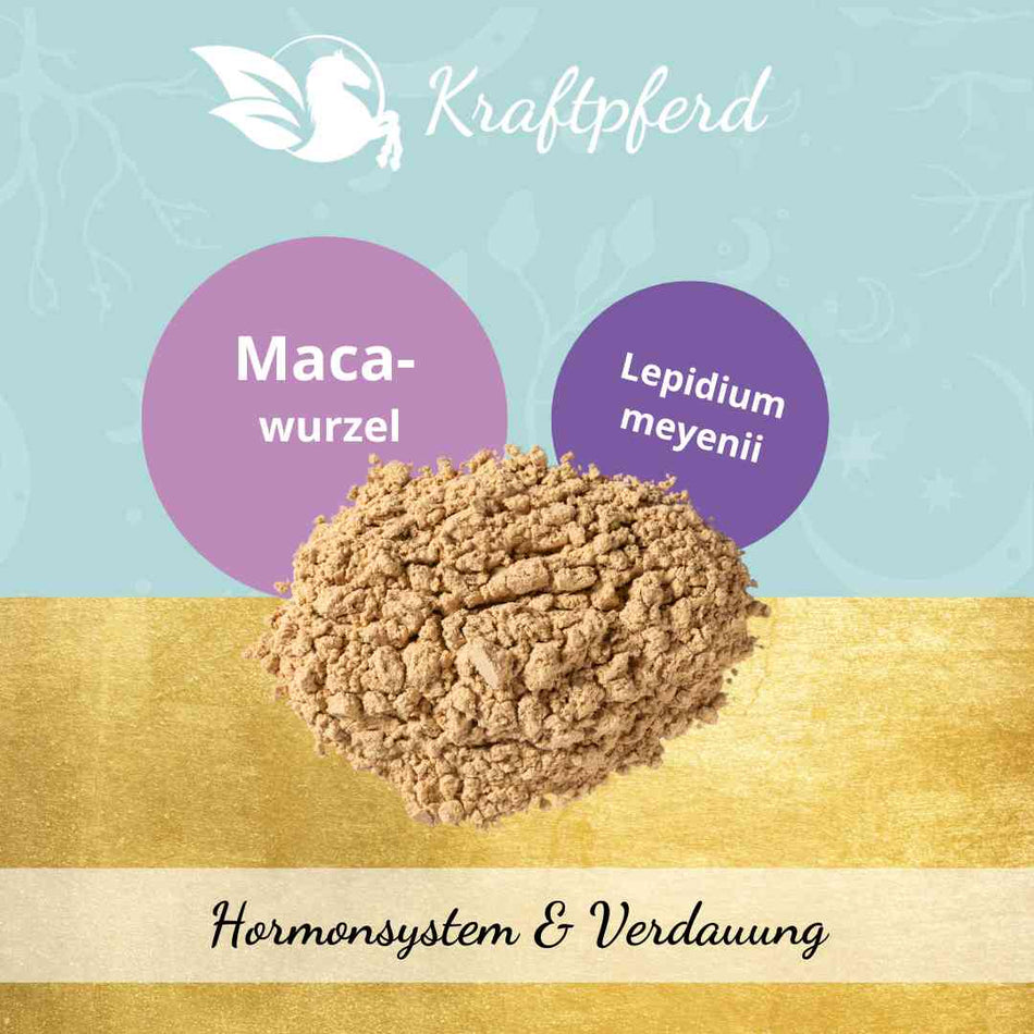 Macawurzel, gemahlen - 500 g